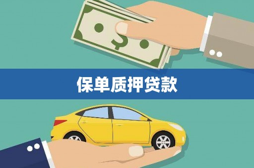 城关保单质押贷款