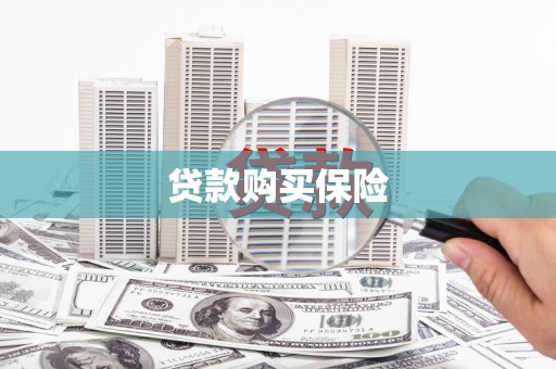 城关贷款购买保险