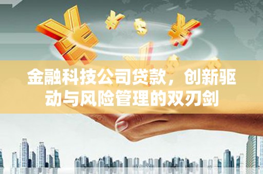 城关金融科技公司贷款，创新驱动与风险管理的双刃剑